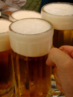 kagiya20090625-001.JPG