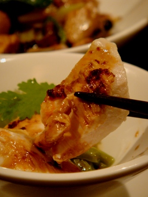 roshisen20090708-004.JPG