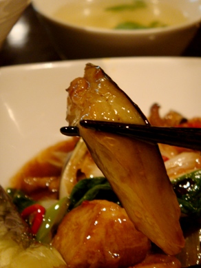 roshisen20090708-006.JPG