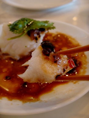 masa20090520-007.JPG