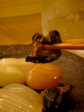 edoma20091028-009.JPG