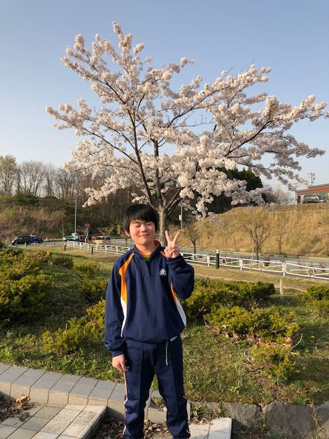hanami-3
