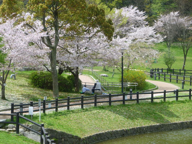 P1070549