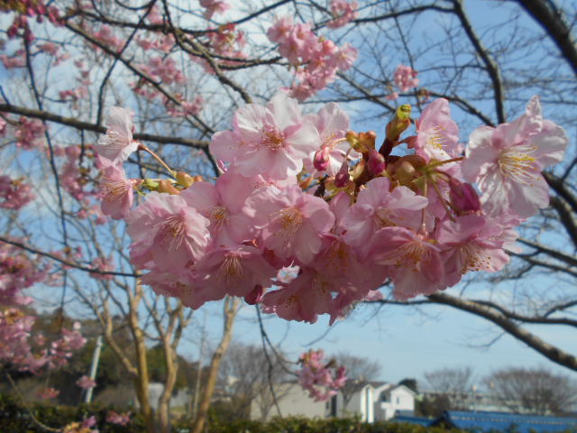 DSCN0691