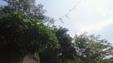 87393ca0.jpg