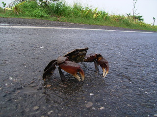 ÂæÏÑ¡¡¤«¤Ë