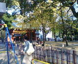 公園