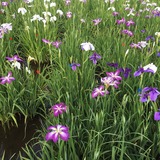 CACBBEE1-20ED-4F41-966D-90CA14034A70