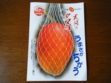 2009.05.23��彣���ޤ����_20