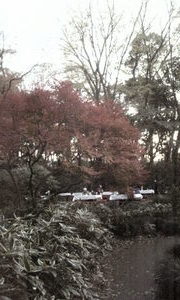 09-12-08六義園7