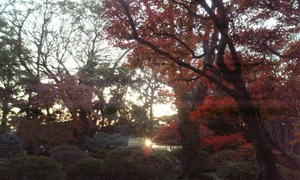 09-12-08六義園6