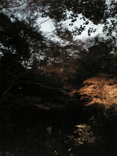 09-12-08六義園10