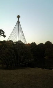 09-12-08六義園3