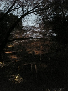 09-12-08六義園9
