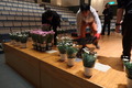 DSCF0039