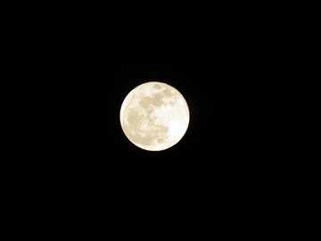 DSCF0956