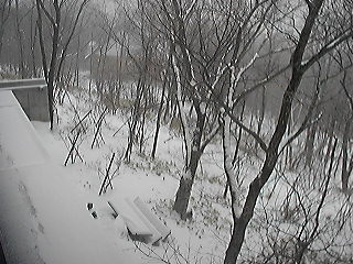 20100202__live
