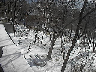 20100203__live