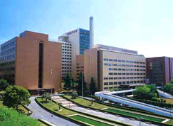 kawasaki-image