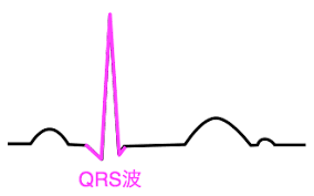 12誘導心電図を読んでみよう Qrs波の確認 心電図の部屋
