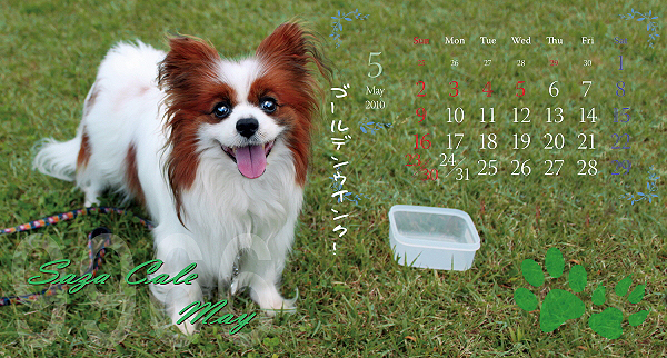 �ڥ�������2010�ۭ�
