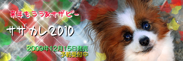 ��������2010������