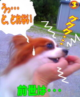 ¤Ê¤«¤Ê¤«¼è¤ì¤Ê¤¤¤¾¤Ã¡ª