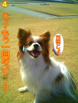 ºäϩĴ¶µ¤