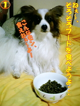 ¤ª¤¤¤·¤¤¡©£±
