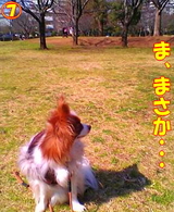 ¤Þ¤µ¤«¡¦¡¦¡¦¡©