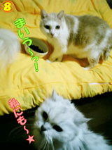 ¤ª¤¤¤·¤¤¡©£¸
