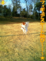 ¥Õ¥£¥®¥å¥¢¥¹¥±¡¼¥ÈÈô¤Ó¡Á¡Á¡Á¡ù