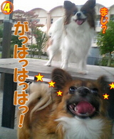 ¤¬¤Ï¤Ï¤Ï¤Ï¢ö
