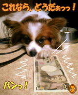 ¤Ê¤é¡¢10000±ß¤Ç¤Ã¡ª