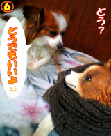 ¥Þ¥Õ¥é¡¼¥Õ¥¡¥Ã¥·¥ç¥ó¡¦£¶