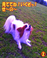 ¸«¤Æ¤Æ¤Í¡ª¤¤¤¯¤¾¤Ã¡ª¤»¡Á¤Î¡Á