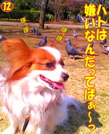 ¥Ï¥È¤Ï·ù¤¤¤Ê¤ó¤À¤Ã¤Æ¤Ð¤¡¡Á¤Ã¡ª¡ª