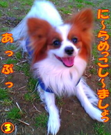 ¤¢¤Ã¤×¤Ã¡¦¡¦¡¦