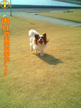 ºäϩĴ¶µ¡
