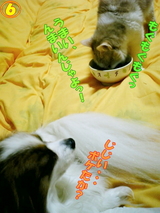 ¤ª¤¤¤·¤¤¡©£¶