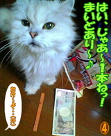 ¤Þ¤¤¤É¤¢¤ê¡Á¢ö