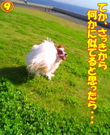 ²¿¤«¤Ë»÷¤Æ¤Ê¤¤¡©