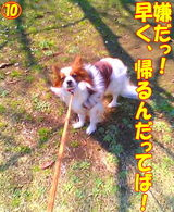 Á᤯¡¢Á᤯µ¢¤ë¤ó¤À¤Ã¤Æ¤Ð¤Ã¤Ã¡ª