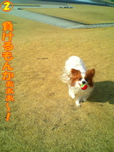 ºäϩĴ¶µ¢