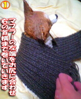 ¥Þ¥Õ¥é¡¼¥Õ¥¡¥Ã¥·¥ç¥ó¡¦£±
