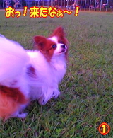 ¤ª¤Ã¡ªÍ褿¤Ê¤¡¡Á¡ª