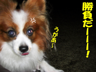 ¥¢¥í¥¢¤Õ¤¿¤¿¤Ó¡Ê¾Ð¡¡¤
