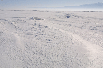 雪
