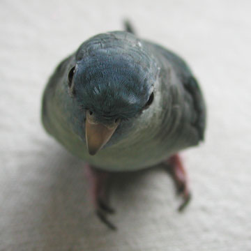P1010055