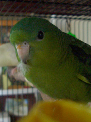 06